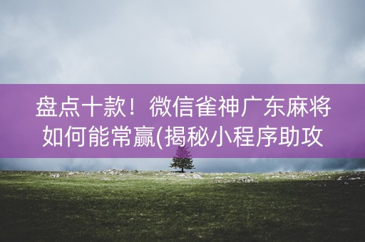 盘点十款！微信雀神广东麻将如何能常赢(揭秘小程序助攻神器)