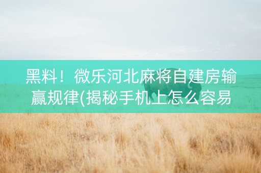 黑料！微乐河北麻将自建房输赢规律(揭秘手机上怎么容易赢)