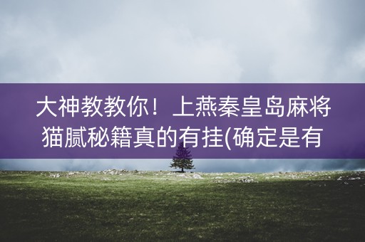 大神教教你！上燕秦皇岛麻将猫腻秘籍真的有挂(确定是有挂)
