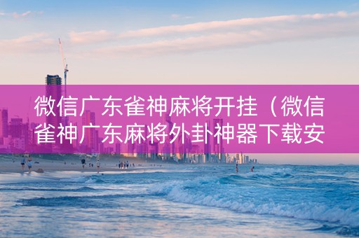 微信广东雀神麻将开挂（微信雀神广东麻将外卦神器下载安装）