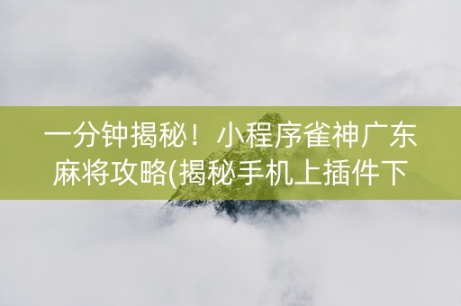 一分钟揭秘！小程序雀神广东麻将攻略(揭秘手机上插件下载)