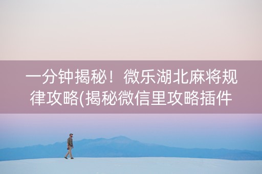 一分钟揭秘！微乐湖北麻将规律攻略(揭秘微信里攻略插件)
