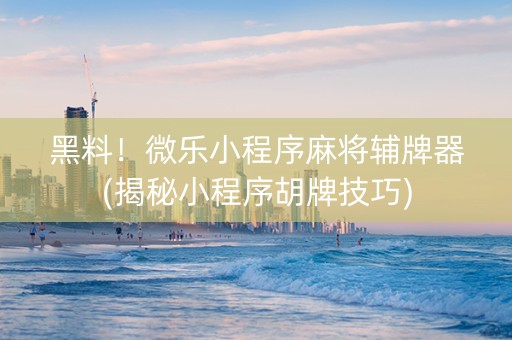黑料！微乐小程序麻将辅牌器(揭秘小程序胡牌技巧)