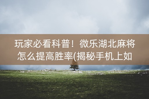 玩家必看科普！微乐湖北麻将怎么提高胜率(揭秘手机上如何让牌变好)