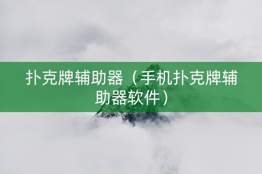 扑克牌辅助器（手机扑克牌辅助器软件）