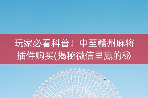 玩家必看科普！中至赣州麻将插件购买(揭秘微信里赢的秘诀)
