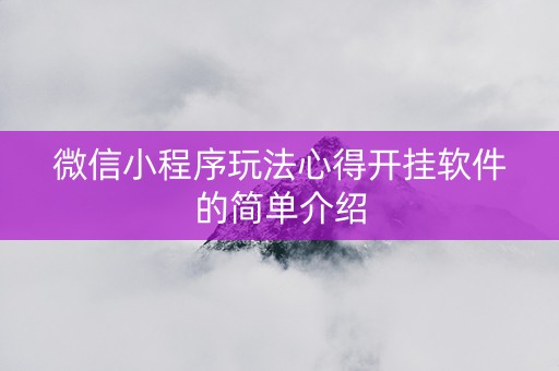 微信小程序玩法心得开挂软件的简单介绍