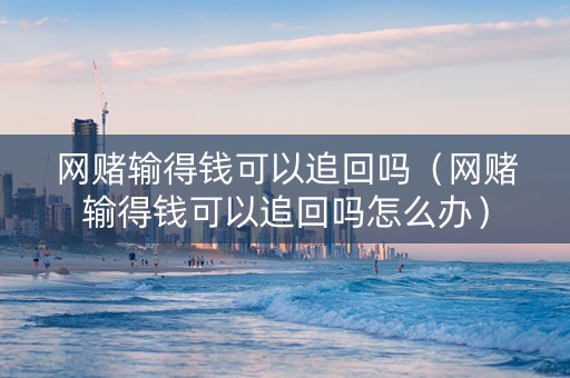 网赌输得钱可以追回吗（网赌输得钱可以追回吗怎么办）