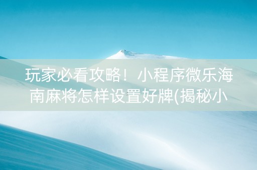 玩家必看攻略！小程序微乐海南麻将怎样设置好牌(揭秘小程序专用神器下载)