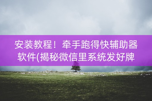 安装教程！牵手跑得快辅助器软件(揭秘微信里系统发好牌)