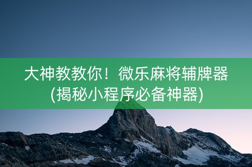 大神教教你！微乐麻将辅牌器(揭秘小程序必备神器)