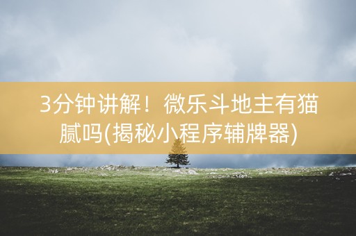 3分钟讲解！微乐斗地主有猫腻吗(揭秘小程序辅牌器)