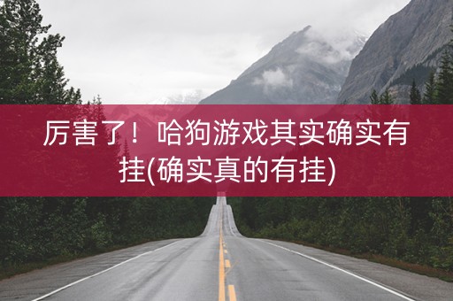 厉害了！哈狗游戏其实确实有挂(确实真的有挂)