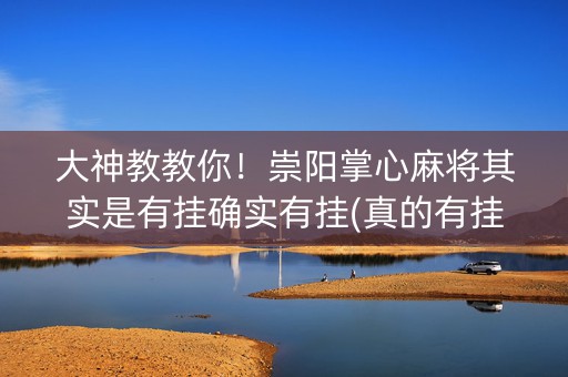 大神教教你！崇阳掌心麻将其实是有挂确实有挂(真的有挂确实有挂)