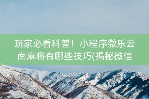 玩家必看科普！小程序微乐云南麻将有哪些技巧(揭秘微信里提高胜率)