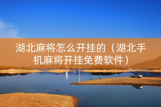湖北麻将怎么开挂的（湖北手机麻将开挂免费软件）