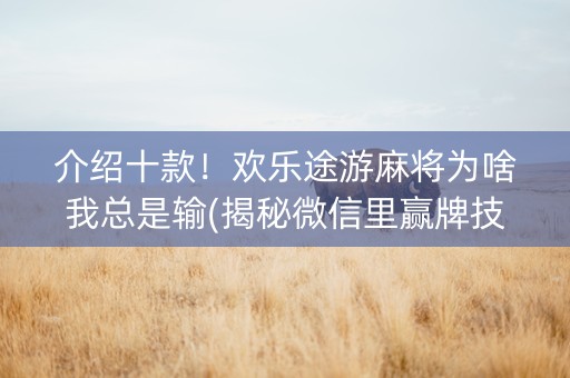 介绍十款！欢乐途游麻将为啥我总是输(揭秘微信里赢牌技巧)