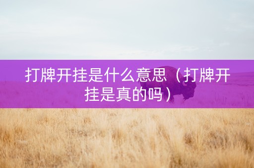 打牌开挂是什么意思（打牌开挂是真的吗）