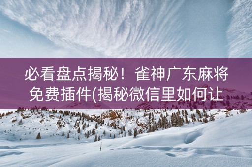 必看盘点揭秘！雀神广东麻将免费插件(揭秘微信里如何让牌变好)