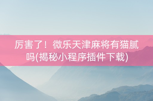 厉害了！微乐天津麻将有猫腻吗(揭秘小程序插件下载)