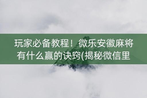 玩家必备教程！微乐安徽麻将有什么赢的诀窍(揭秘微信里输赢规律)