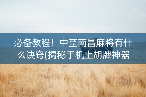 必备教程！中至南昌麻将有什么诀窍(揭秘手机上胡牌神器)