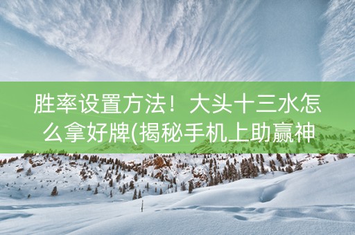 胜率设置方法！大头十三水怎么拿好牌(揭秘手机上助赢神器购买)