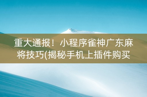 重大通报！小程序雀神广东麻将技巧(揭秘手机上插件购买)