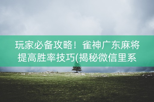 玩家必备攻略！雀神广东麻将提高胜率技巧(揭秘微信里系统发好牌)