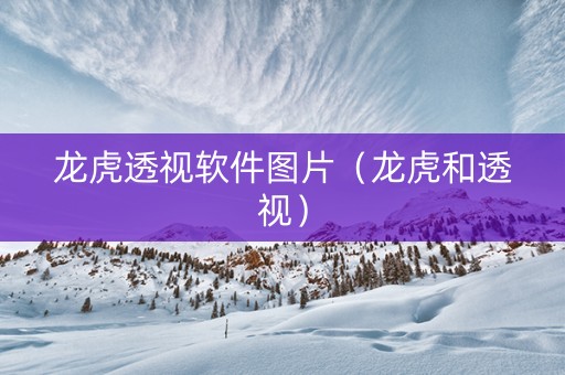 龙虎透视软件图片（龙虎和透视）