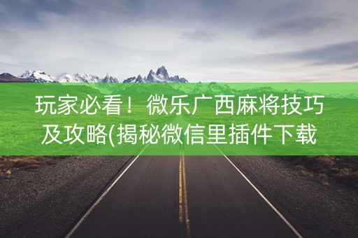 玩家必看！微乐广西麻将技巧及攻略(揭秘微信里插件下载)