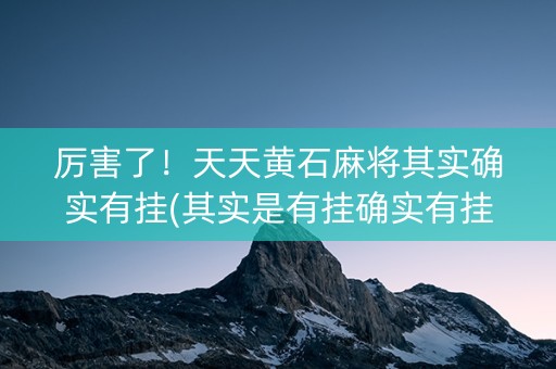 厉害了！天天黄石麻将其实确实有挂(其实是有挂确实有挂)