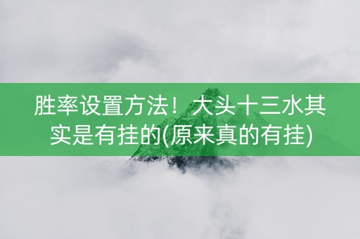 胜率设置方法！大头十三水其实是有挂的(原来真的有挂)