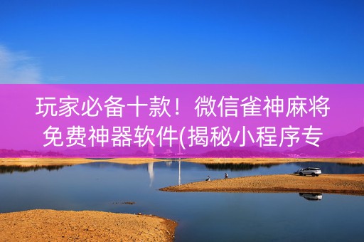玩家必备十款！微信雀神麻将免费神器软件(揭秘小程序专用神器下载)