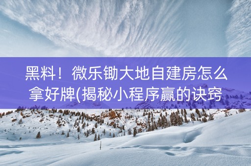 黑料！微乐锄大地自建房怎么拿好牌(揭秘小程序赢的诀窍)