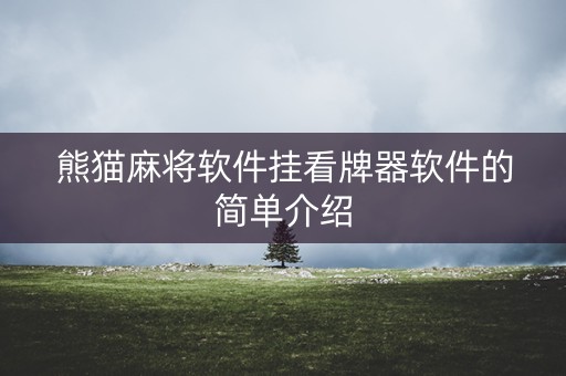 熊猫麻将软件挂看牌器软件的简单介绍