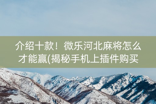 介绍十款！微乐河北麻将怎么才能赢(揭秘手机上插件购买)