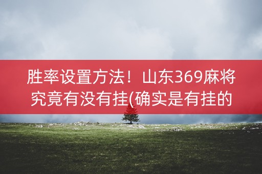 胜率设置方法！山东369麻将究竟有没有挂(确实是有挂的)