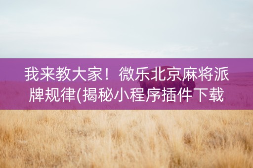 我来教大家！微乐北京麻将派牌规律(揭秘小程序插件下载)
