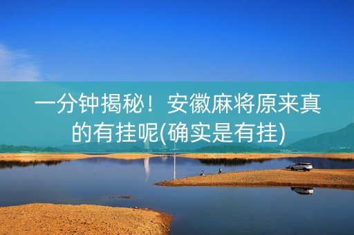 一分钟揭秘！安徽麻将原来真的有挂呢(确实是有挂)