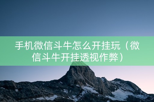 手机微信斗牛怎么开挂玩（微信斗牛开挂透视作弊）