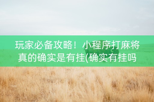 玩家必备攻略！小程序打麻将真的确实是有挂(确实有挂吗)