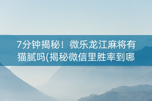 7分钟揭秘！微乐龙江麻将有猫腻吗(揭秘微信里胜率到哪调)