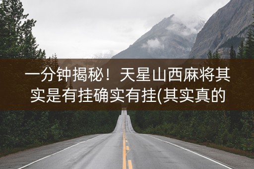 一分钟揭秘！天星山西麻将其实是有挂确实有挂(其实真的有挂)