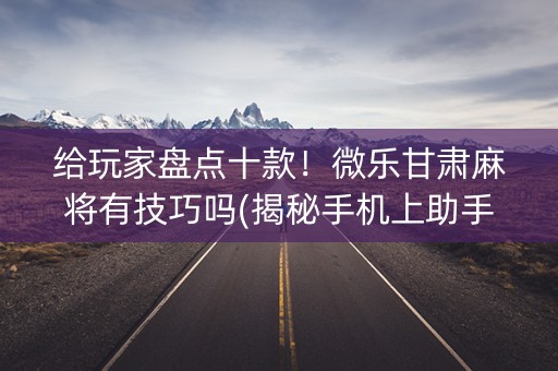给玩家盘点十款！微乐甘肃麻将有技巧吗(揭秘手机上助手软件)