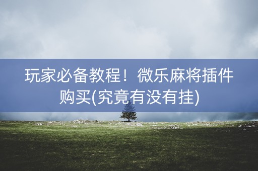 玩家必备教程！微乐麻将插件购买(究竟有没有挂)