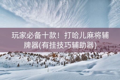 玩家必备十款！打哈儿麻将辅牌器(有挂技巧辅助器)
