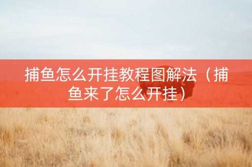 捕鱼怎么开挂教程图解法（捕鱼来了怎么开挂）