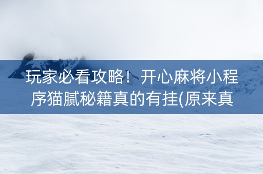 玩家必看攻略！开心麻将小程序猫腻秘籍真的有挂(原来真的有挂)