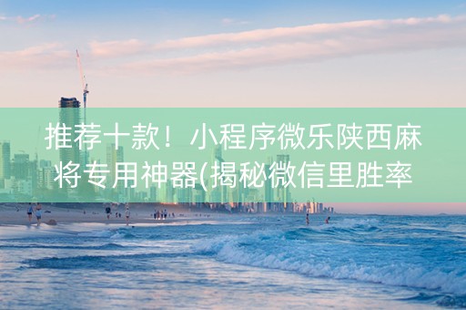 推荐十款！小程序微乐陕西麻将专用神器(揭秘微信里胜率到哪调)